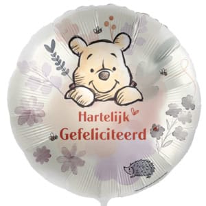 Disney Winnie de Pooh